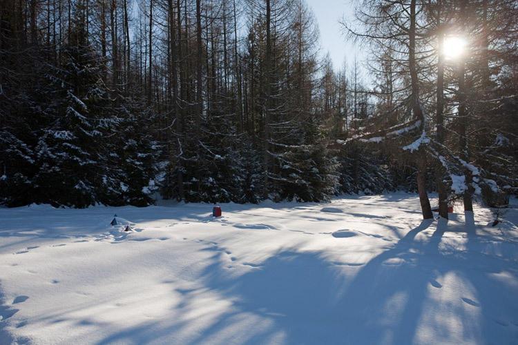 Bungalovy Pri Hoteli Spojar Zsár Kültér fotó